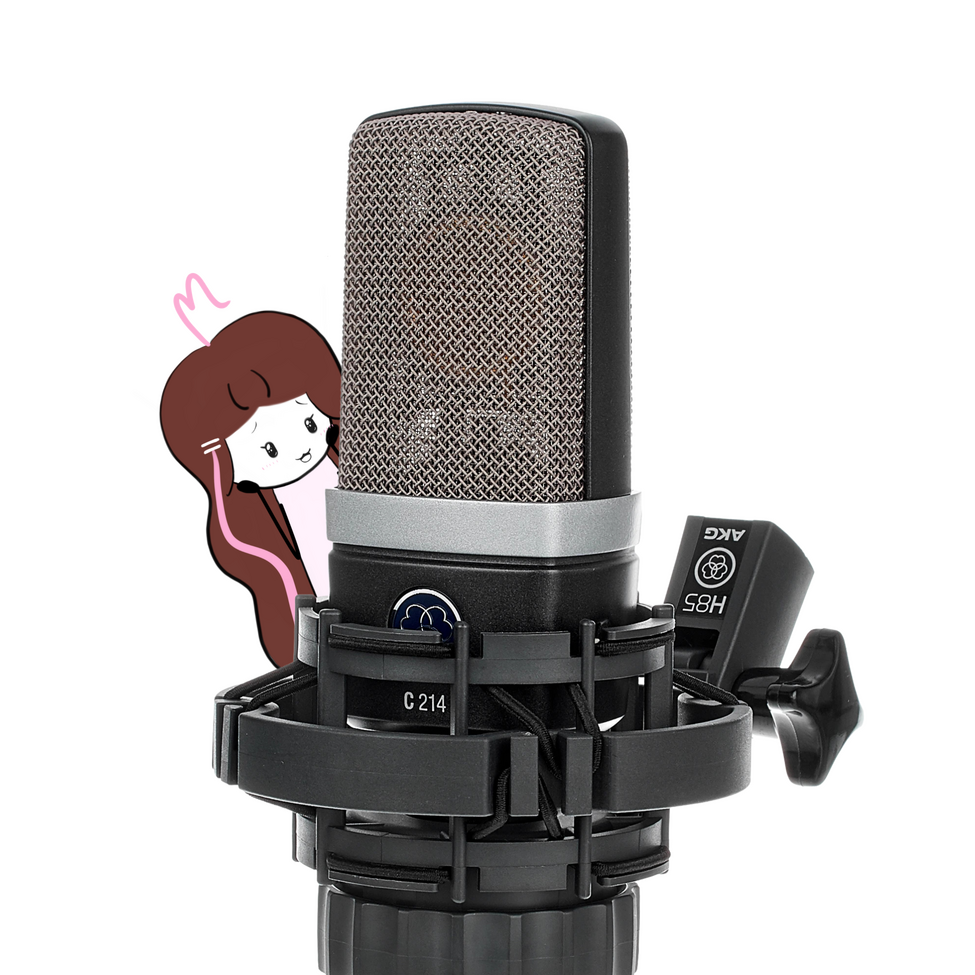 Mic: AKG C214 Condenser Mic: AKG C214 Condenser